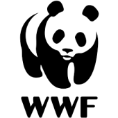 Logo 5